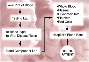 Blood product use flowchart